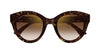 Cartier CT0436S Havana/Brown #colour_havana-brown