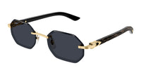 Cartier CT0439S Gold-Black/Grey #colour_gold-black-grey