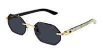 Cartier CT0439S Gold-White/Grey #colour_gold-white-grey