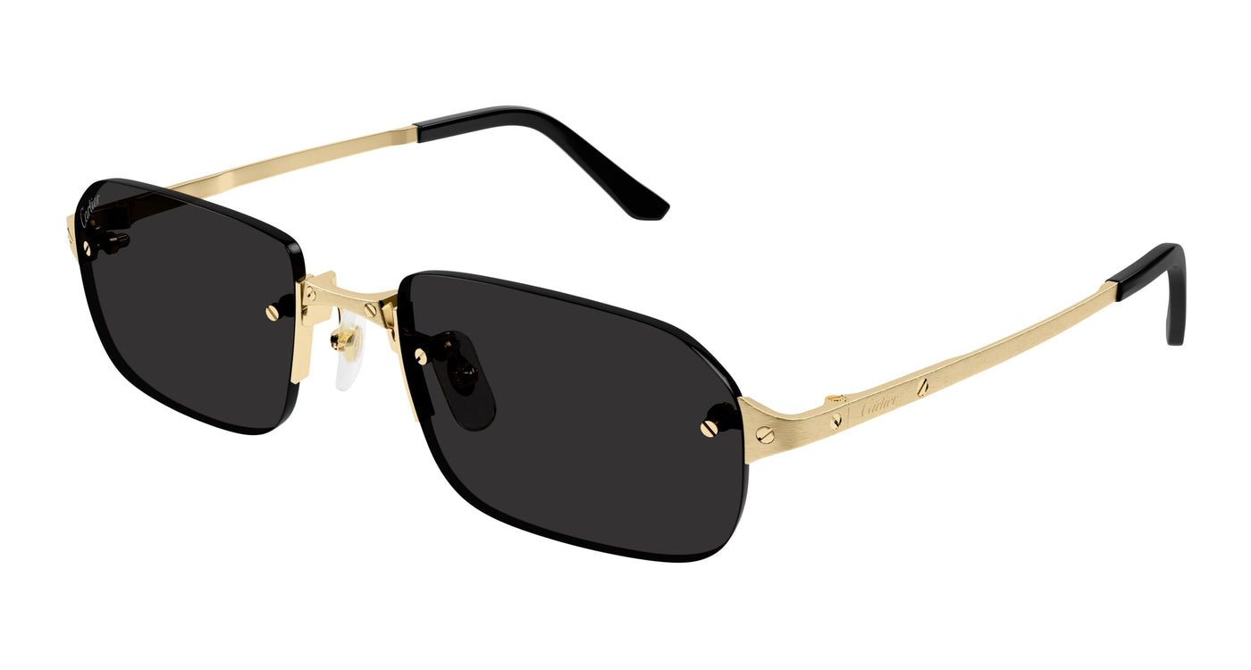 Cartier CT0460S Square Sunglasses | Fashion Eyewear US