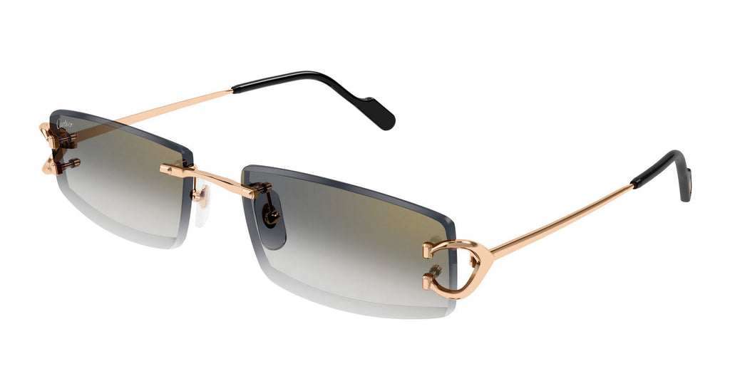 Cartier CT0465S#colour_gold/grey