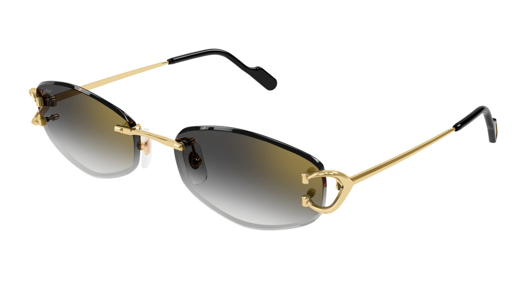 Cartier CT0467S Square Sunglasses Fashion Eyewear