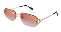 Cartier CT0468S#colour_gold/red