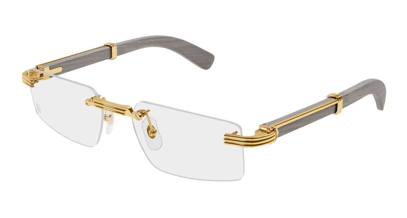 Cartier CT0485O Rectangle Glasses | Fashion Eyewear US