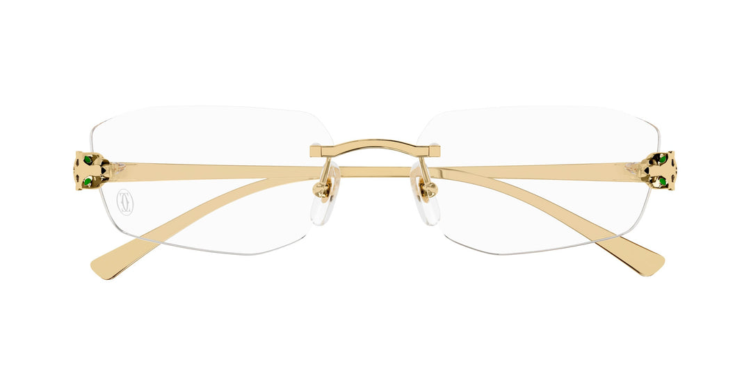 Cartier CT0494O Square Glasses | Fashion Eyewear US