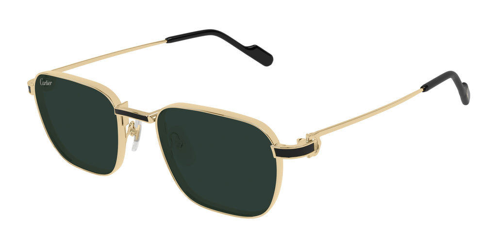 Cartier CT0497S Square Sunglasses | Fashion Eyewear US