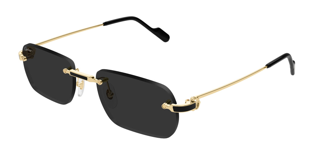 Cartier CT0498S Square Sunglasses | Fashion Eyewear