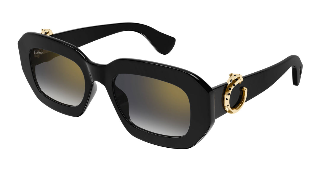 Cartier CT0546S Oval Sunglasses | Fashion Eyewear US