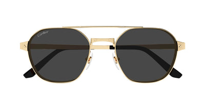 Cartier CT0571S