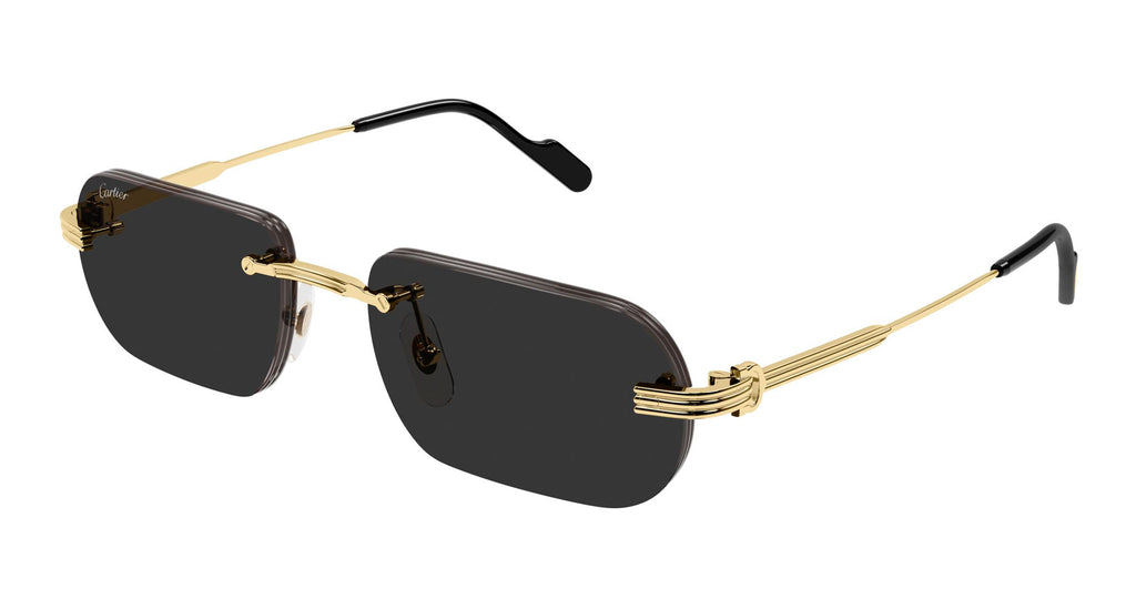 Cartier ジャガー デザイン プレート Cartier CT0577S Rectangle Sunglasses | Fashion Eyewear