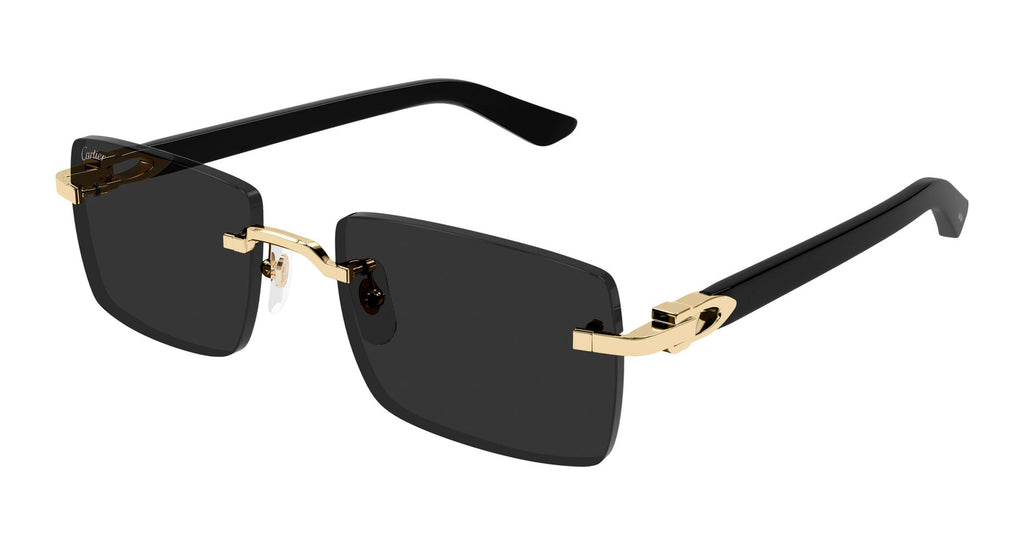 Cartier CT0579S Square Sunglasses | Fashion Eyewear