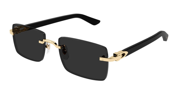 Cartier CT0579S Square Sunglasses | Fashion Eyewear US