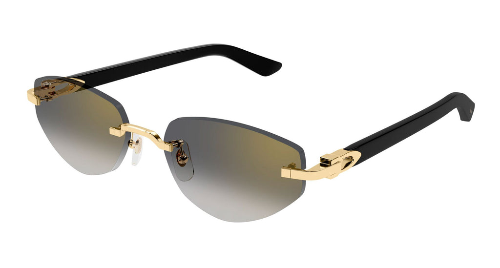 Cartier CT0580S Oval Sunglasses | Fashion Eyewear US