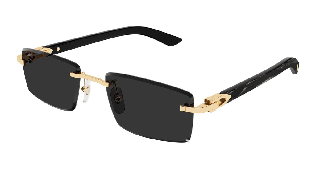 Cartier CT0582S Rectangle Sunglasses | Fashion Eyewear US