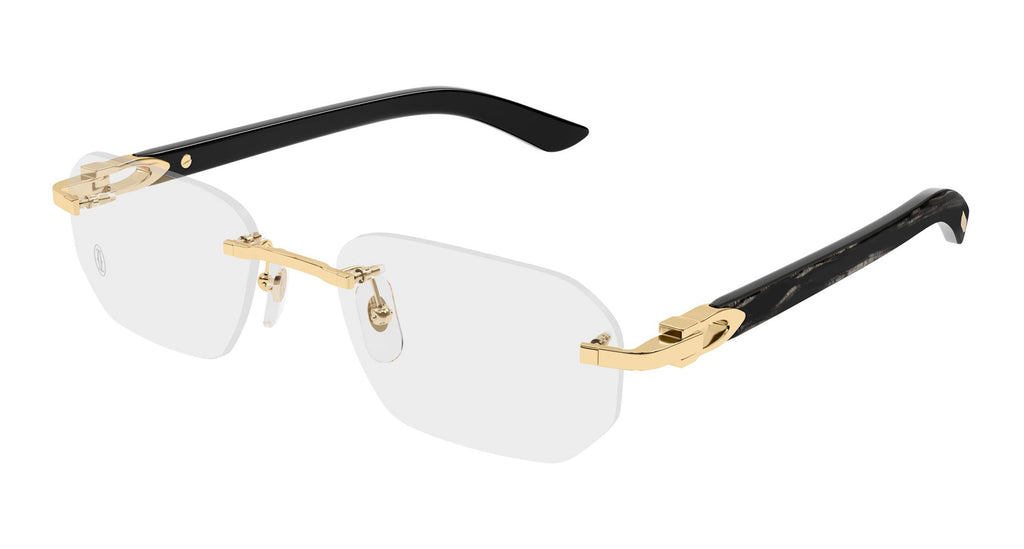 Cartier CT0583O Square Glasses | Fashion Eyewear