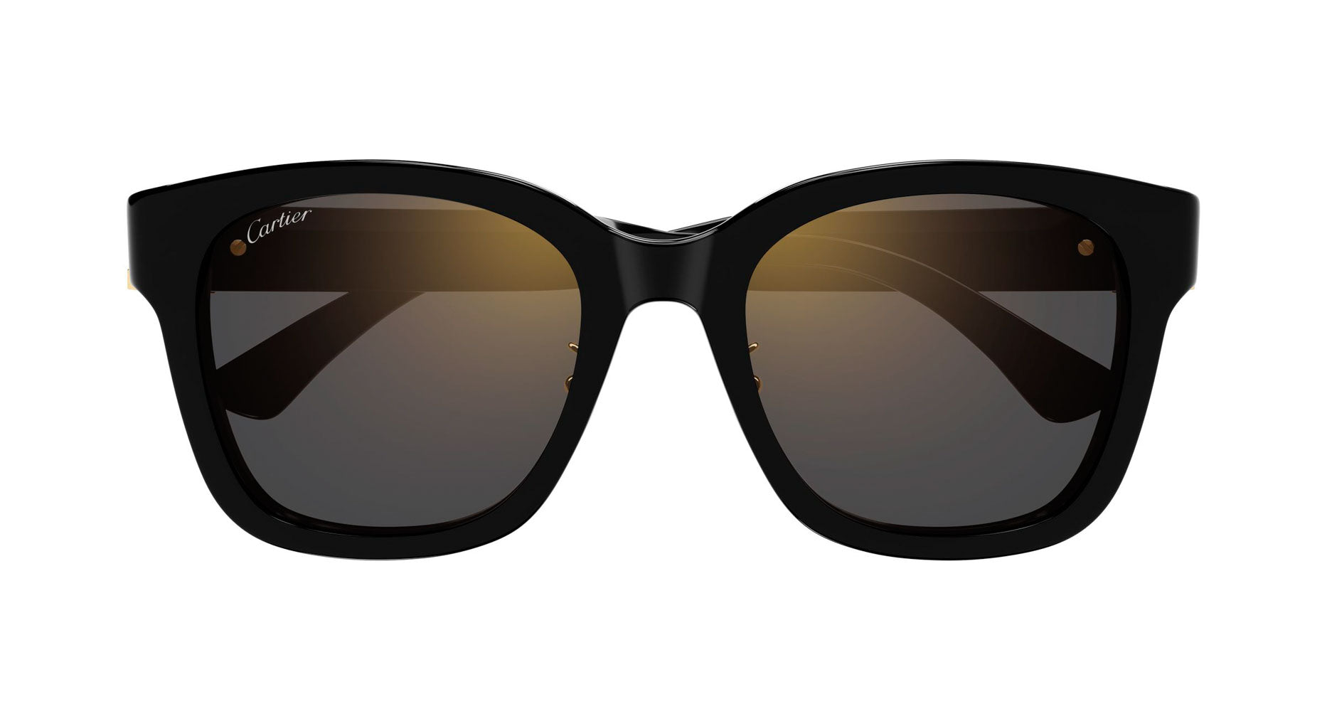 Cartier CT0589SA Square Sunglasses | Fashion Eyewear US