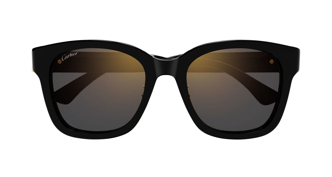 Cartier CT0589SA Square Sunglasses | Fashion Eyewear US