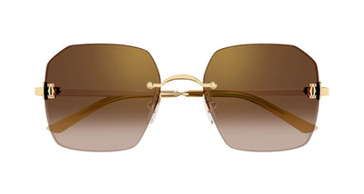 #colour_gold-brown