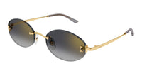 #colour_gold-grey