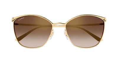 #colour_gold-brown