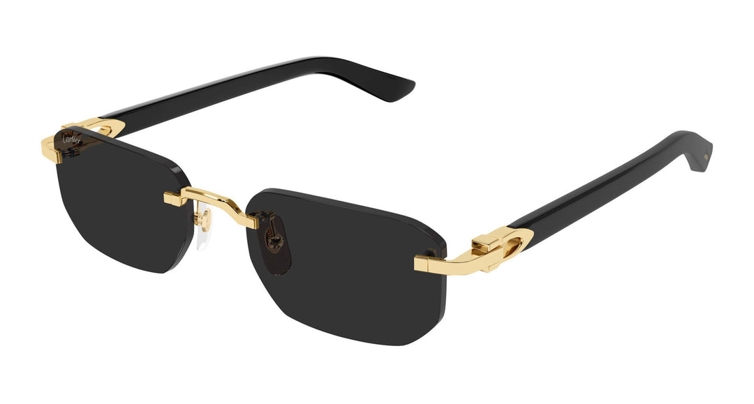 Cartier CT0622S Rectangle Sunglasses | Fashion Eyewear