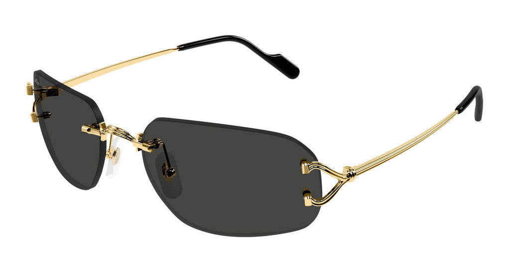 Cartier CT0663S#colour_gold/grey