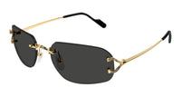 Cartier CT0663S#colour_gold/grey