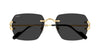Cartier CT0664S#colour_gold/grey