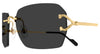 Cartier CT0664S#colour_gold/grey