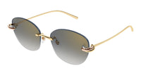 Cartier CT0685S#colour_gold/grey