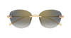 Cartier CT0685S#colour_gold/grey