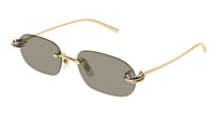 Cartier CT0686S#colour_gold/brown