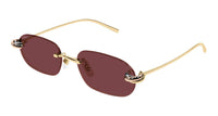 Cartier CT0686S#colour_gold/red