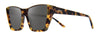 #colour_tortoise-graphite-polarised