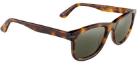 #colour_classic-tortoise-mineral-silver-polarised