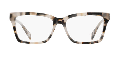 #colour_ivory-tortoise