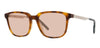 #colour_light-tortoise