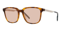 #colour_light-tortoise