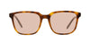 #colour_light-tortoise