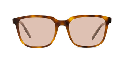 #colour_light-tortoise