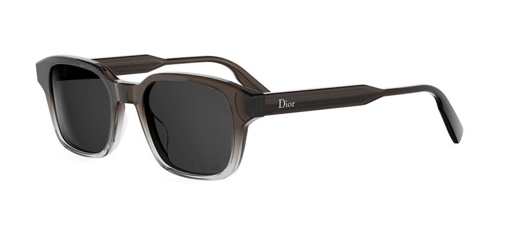 DiorDioribbonS1I#colour_brown-grey