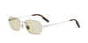 Dior Blacksuit S19U#colour_shiny-silver-brown