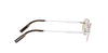 Dior Blacksuit S19U#colour_shiny-silver-brown