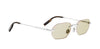 Dior Blacksuit S19U#colour_shiny-silver-brown