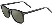 #colour_black-mineral-silver-polarised