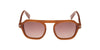 #colour_shiny-light-brown-brown-gradient
