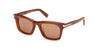 #colour_shiny-light-brown-brown