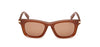 #colour_shiny-light-brown-brown