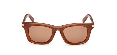 #colour_shiny-light-brown-brown