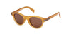 #colour_shiny-light-brown-brown